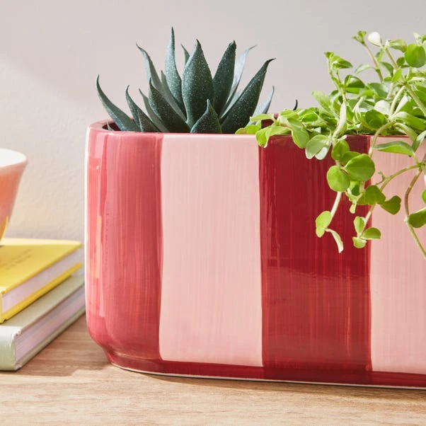 Elements Striped Ceramic Windowsill Plant Pot 8 Elements Striped Ceramic Windowsill Plant Pot - Image 6