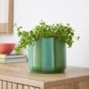 Elements Striped Ceramic Plant Pot 2 Elements Striped Ceramic Plant Pot -Elements 30943041