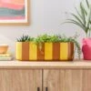 Elements Striped Ceramic Windowsill Plant Pot 1 Elements Striped Ceramic Windowsill Plant Pot -Elements 30943051